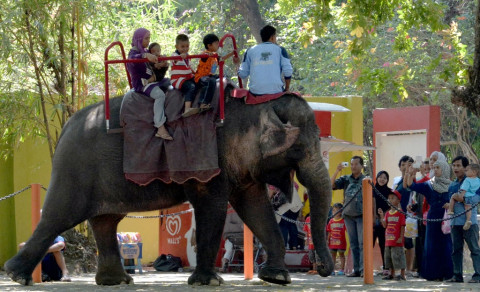 KBS Target 55 Ribu Pengunjung pada Akhir 2015