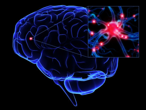 Gejala Awal Penyakit Multiple Sclerosis