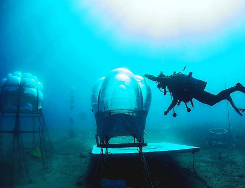 Yuk, Berjalan-jalan di Kebun Sayur Gamberini di Dalam Laut