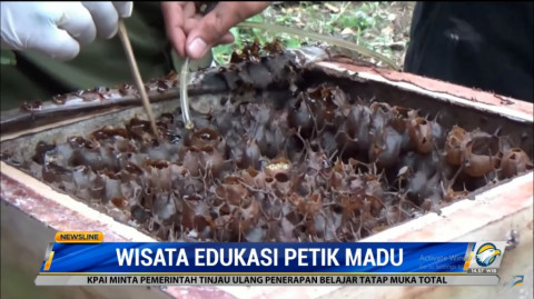 Yuk, Melancong ke Bukit Gumitir Sambil Menikmati Madu Klanceng