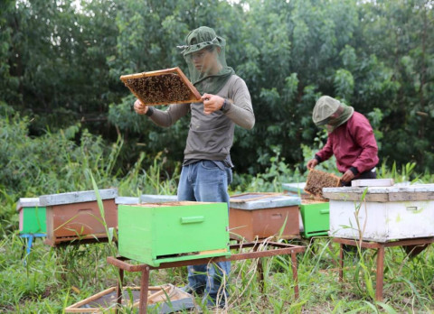 Mereguk <i>Cuan</i> Manis Madu Hutan, Omzetnya Bisa Capai Puluhan Juta
