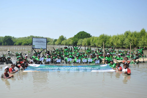 Lahan Satu Hektar di Muara Gembong Ditanami 10.000 Pohon Mangrove