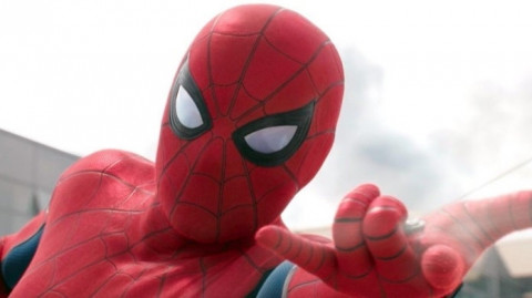 Berharap Jadi Spider-Man, Bocah 8 Tahun Biarkan Laba-laba Berbisa Gigit Tangannya