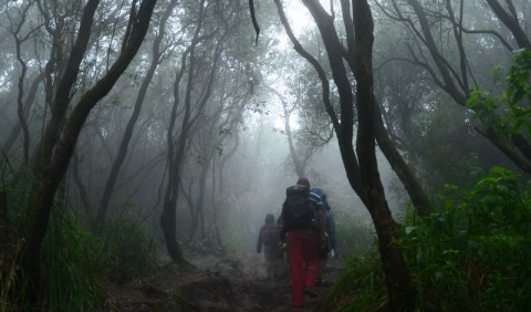 2 Pendaki Dilaporkan Hilang di Gunung Batukaru Bali