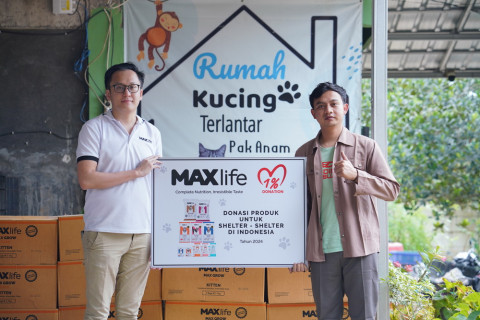 Kontribusi Komunitas Ikut Melindungi Hewan Terlantar