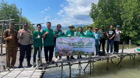 Penanaman 30.000 Bibit Mangrove di NTT, Ini Manfaatnya untuk Warga Lokal