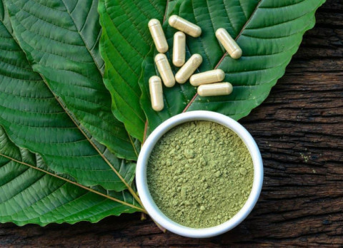 Jokowi Sampai Turun Tangan, Ini 6 Fakta Tanaman Kratom yang Mengandung Narkotika