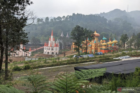 Izin Pembangunan Wisata di Kebun Teh Puncak Ditinjau Ulang