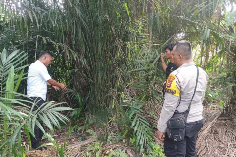 6 Remaja Masih SD-SMP Ditangkap usai Diduga Memerkosa Siswi SMP