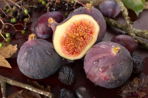 Ragam Manfaat Buah Tin untuk Kesehatan dan Kecantikan