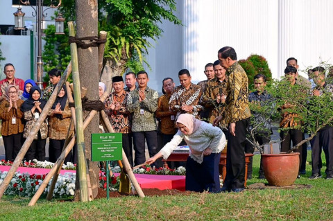 Jelang Purnatugas, Jokowi-Iriana Tanam Pulai dan Flamboyan