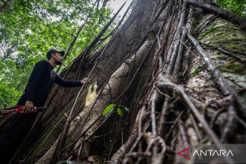 Kalsel Ajak Generasi Muda Bentuk Meratus Geopark Youth Forum