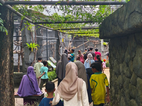 Sambut Liburan Nataru, Solo Safari Siapkan Ragam Aktivitas Spesial