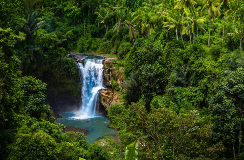 7 Aktivitas Rekomendasi Seru di Ubud Bali Menjelang Nataru