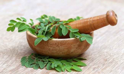 5 Jenis Daun yang Ampuh Atasi Jerawat
