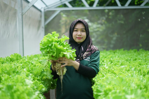 Sharp Hydro Heroes Ciptakan Petani Muda Berkelanjutan