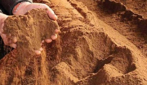 Bungkil Inti Sawit Berpotensi Jadi Pakan Ternak