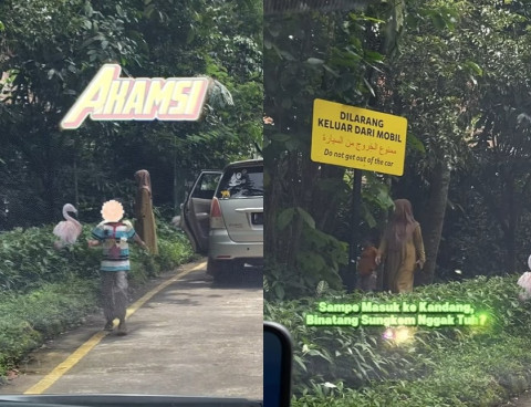 Bahaya Banget! Pengunjung Taman Safari Keluar dari Mobil dan Keluyuran di Zona Satwa