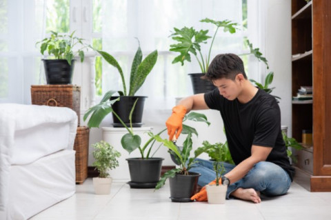 Mau Mulai Berkebun? Perhatikan Cara Menanam yang Tepat