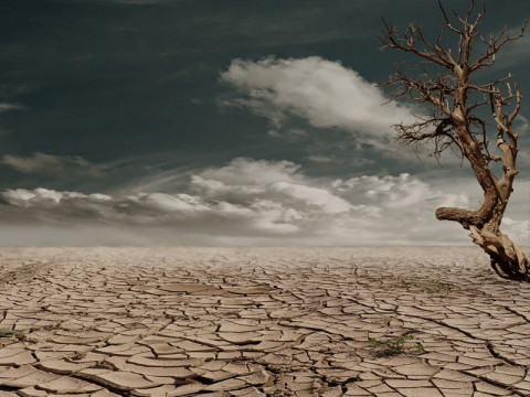 Pakar IPB Beberkan Fakta, El Nino hingga Deforestasi Picu Pemanasan Global