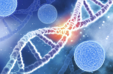 Transplantasi Sel Punca Hematopoietik, Harapan Baru Pasien Kanker Darah