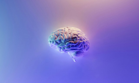 5 Langkah Cegah Brain rot