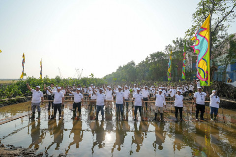 Pesisir Jakarta Makin Hijau, Wujud Nyata Cinta Lingkungan di Hari Mangrove Sedunia
