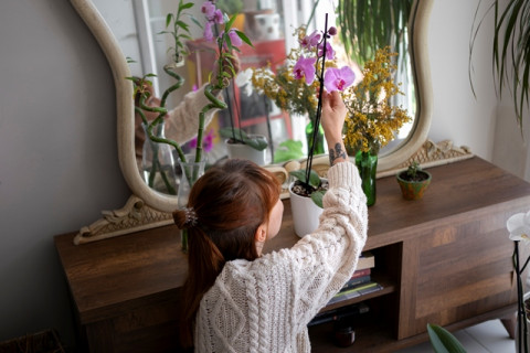 7 Benda yang Dianggap Bawa Sial Menurut Feng Shui, Hindari di Rumah Kamu!