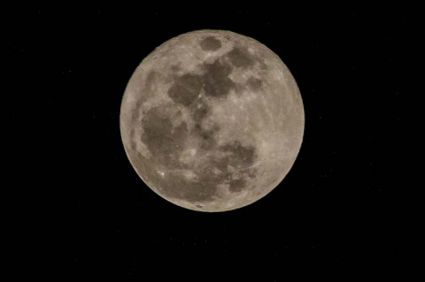 Fenomena Langit Agustus, Sturgeon Moon 2 Malam Berturut-turut