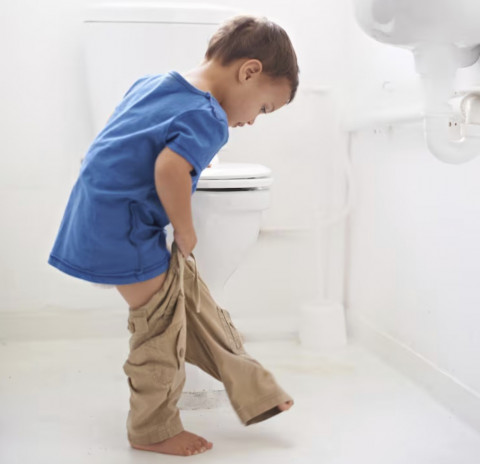 Mengenal Toilet Training 3 Hari: Cara, Tips, dan Manfaatnya untuk Anak
