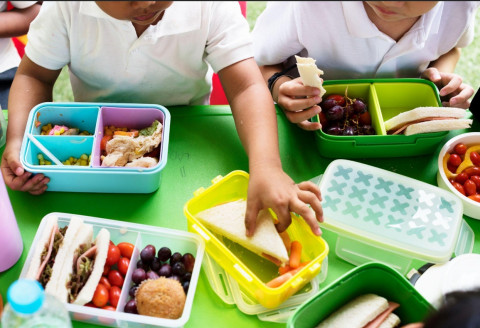 Belajar dari Kasus MBG, Pentingnya Sanitasi Modern di Dapur Publik