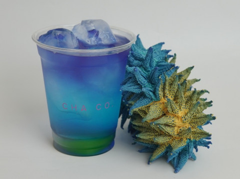 Tren Minuman Fungsional Makin Meningkat