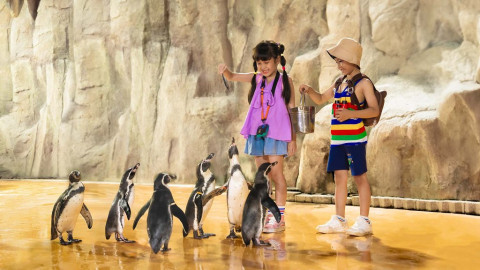 Jelang Liburan Akhir Tahun, Inilah 5 Wisata Edukasi Cocok untuk Anak-anak