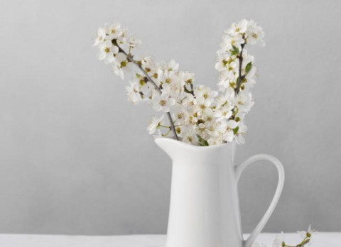 7 Bunga Paling Harum, Bikin Rumah Wangi Alami