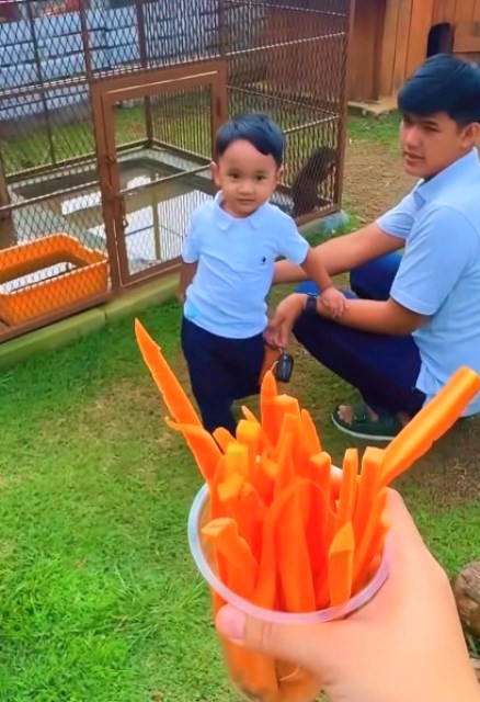 Kenyang dan Puas Bermain, Inilah 5 Restoran Kids Friendly di Kota Bogor