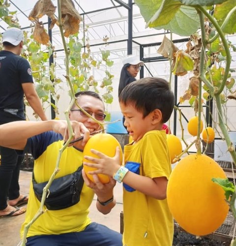 5 Tempat Wisata di Bogor yang Viral, Cocok untuk Si Paling instagramable!