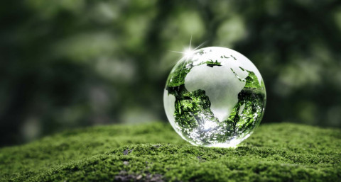 Bingung Ingin Bisnis Apa? Ini Dia Ide Bisnis Ramah Lingkungan yang Menguntungkan