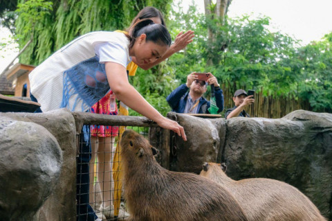 Cuaca Tak Menentu, Wamenpar Ingatkan Mitigasi di Destinasi Wisata Alam
