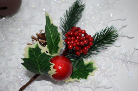 Apa itu Mistletoe? Hiasan Natal Simbol Perdamaian yang Punya Buah Beracun