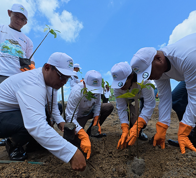 374.839 Pohon Ditanam PNM, Jejak Nyata Hijaukan Negeri di Hari Gerakan Satu Juta Pohon