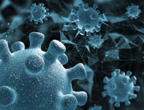 Kasus Virus Nipah Kembali Merebak? Ini Gejala dan Langkah Pencegahannya