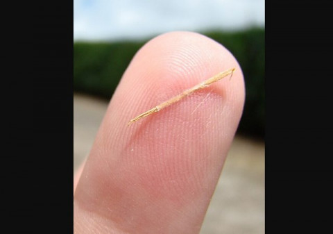 3 Berita Terpopuler Gaya: Drama Anak Kesusupan Serpihan Kayu Hingga Luxcrime