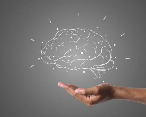 Tantrum Bukan Salah Asuh, Ini Sains di Balik Otak Anak