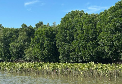 Aksi Keren Selamatkan Muara Gembong dari Sampah & Abrasi