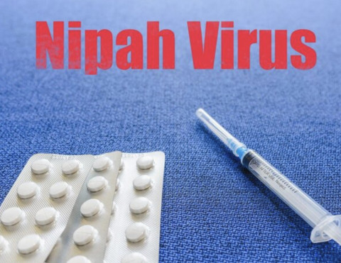 Belum Ada di Indonesia, Tapi Virus Nipah Udah Bikin Waspada: Ini Gejala & Faktanya