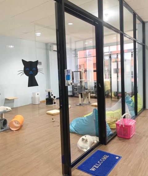 3 Berita Terpopuler Gaya: Pet Hotel di Jakarta Hingga Skincare Praktis Buat Mudik