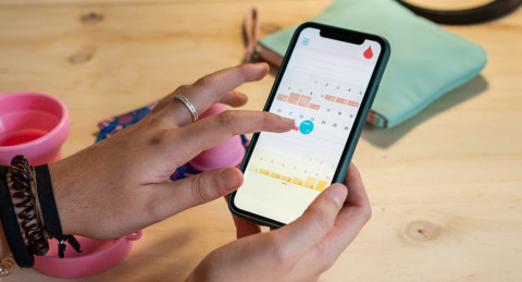 Period Cycle 101: Rahasia Menstruasi & Fase Folikuler yang Bikin Mood Naik Turun