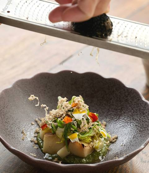 Jamur Sultan 101: Kenapa Truffle Harganya Bisa Seharga Motor?