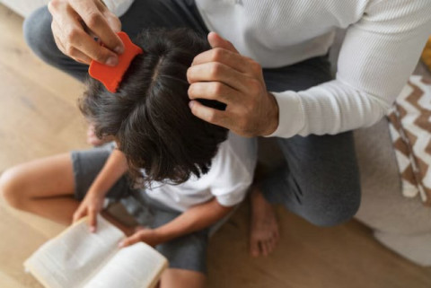 Solusi Sat-Set Basmi Kutu Rambut Anak Biar Enggak Garuk-garuk Lagi