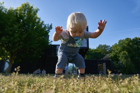 Biar Enggak Bingung Ini Timeline Bayi Mulai Jalan & Tips Stimulasinya